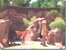 Malcolm El De Enmedio (Temporada 4, Capítulo 1 El Zoológico) Los Trigres
